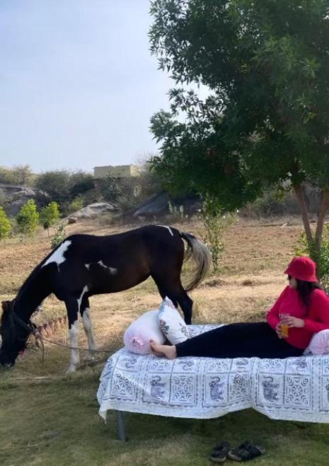 The Bagheera Bagh Jawai Hotel Bera Eksteriør billede