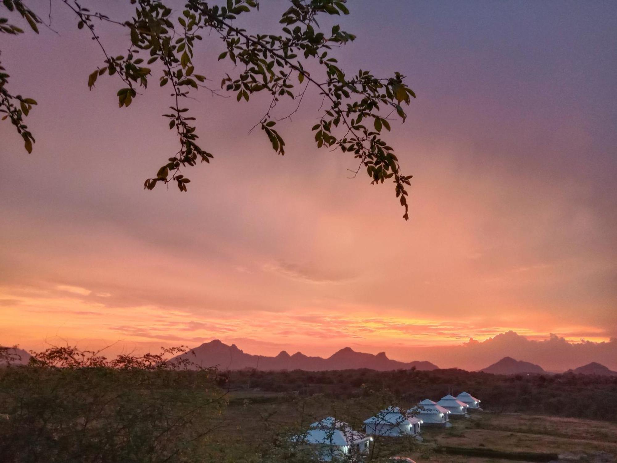 The Bagheera Bagh Jawai Hotel Bera Eksteriør billede