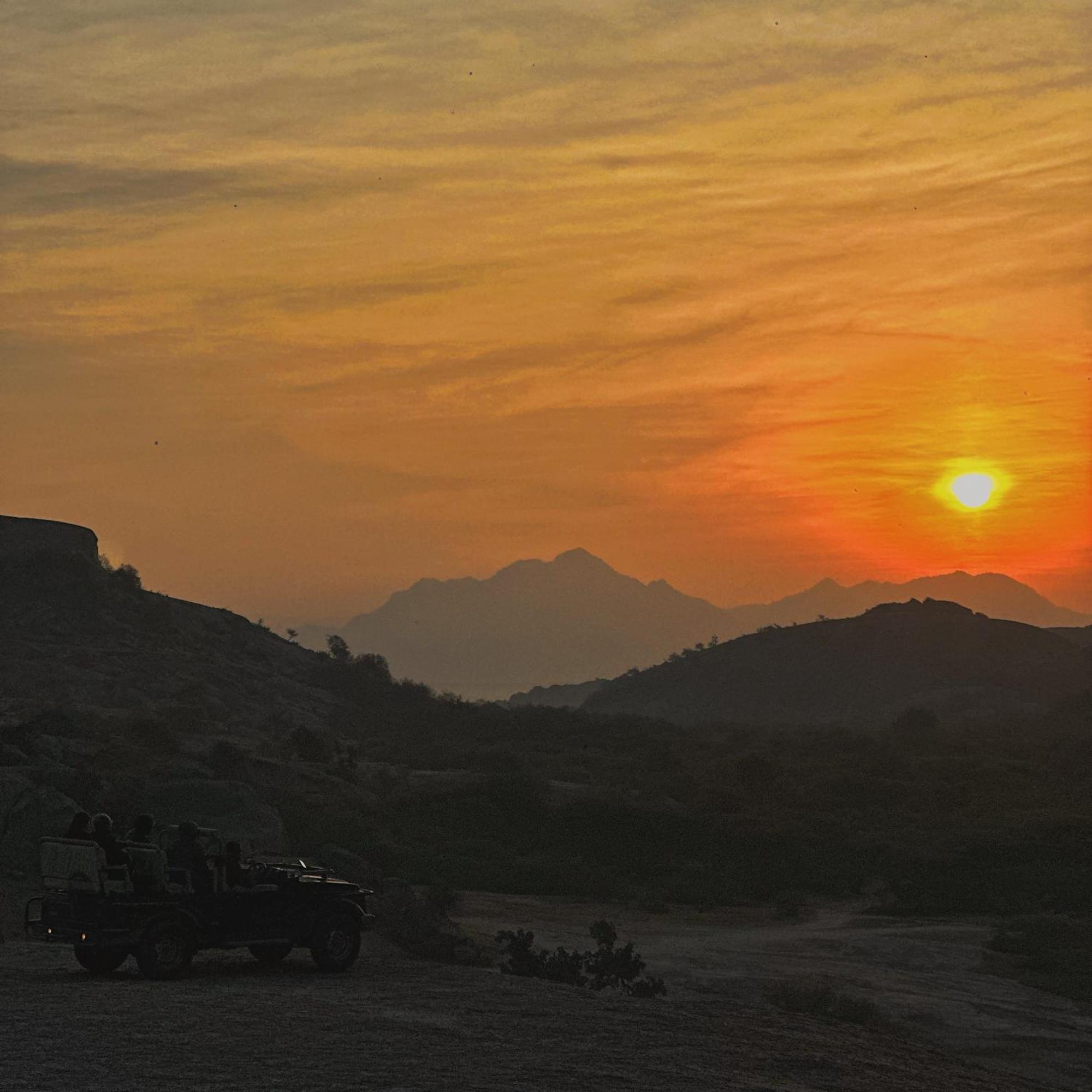 The Bagheera Bagh Jawai Hotel Bera Eksteriør billede
